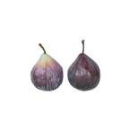 Fig Grove Decorative Fruit (Set of 2)