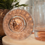 Aslan Lion Rose Tumbler Glasses (set of 4)