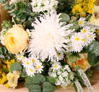 Golden Hour - Instant Bloom Bouquet