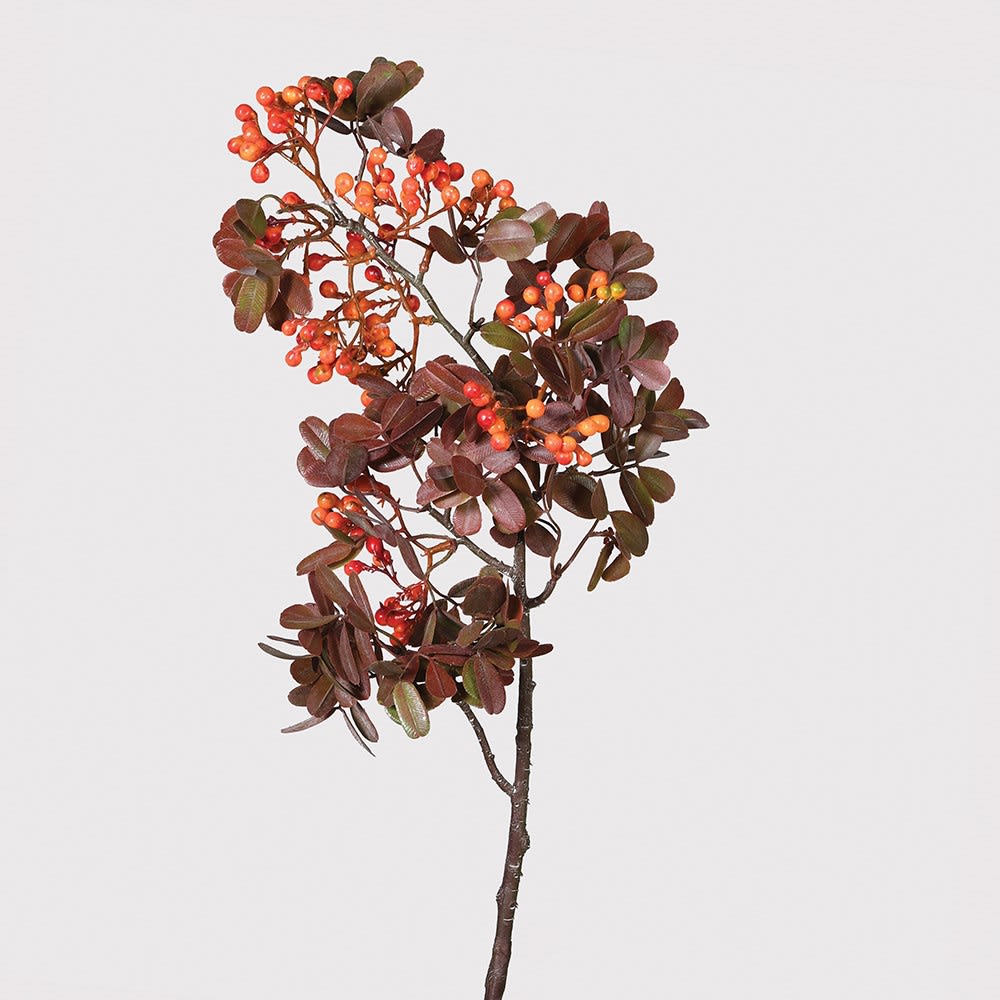 Amber Rowan Berry Spray