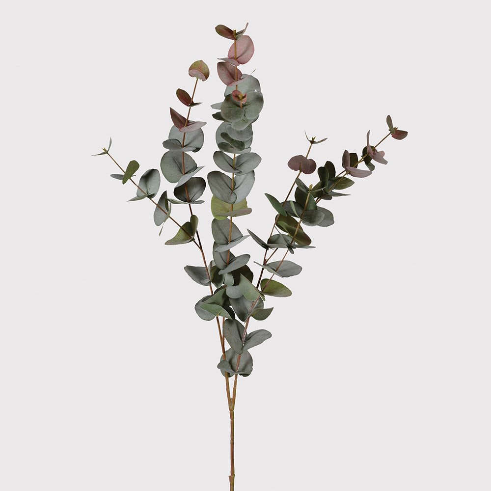 Blush Meadow Eucalyptus Spray