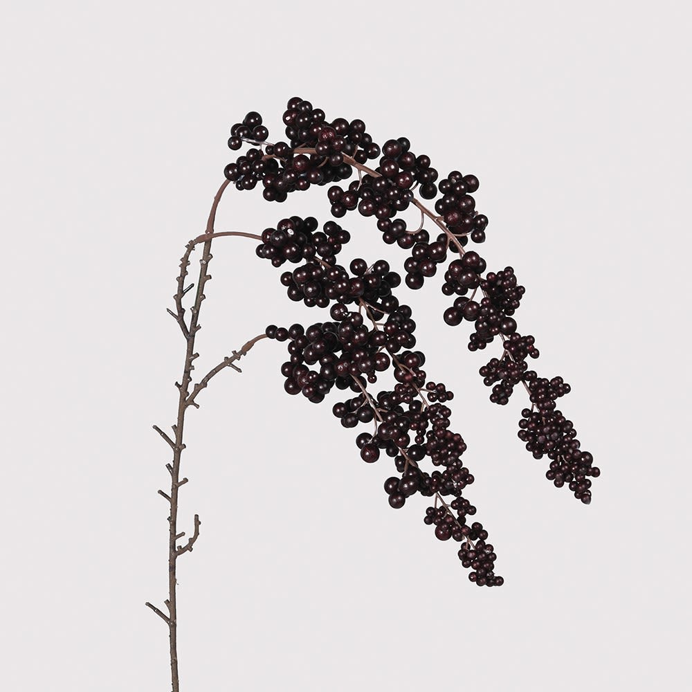 Burgundy Cotoneaster Spray